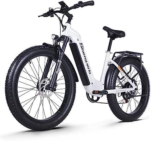 RCB E-Bike RK15 per adulti, 90km autonomia, 7-velocità - Bici che Amore